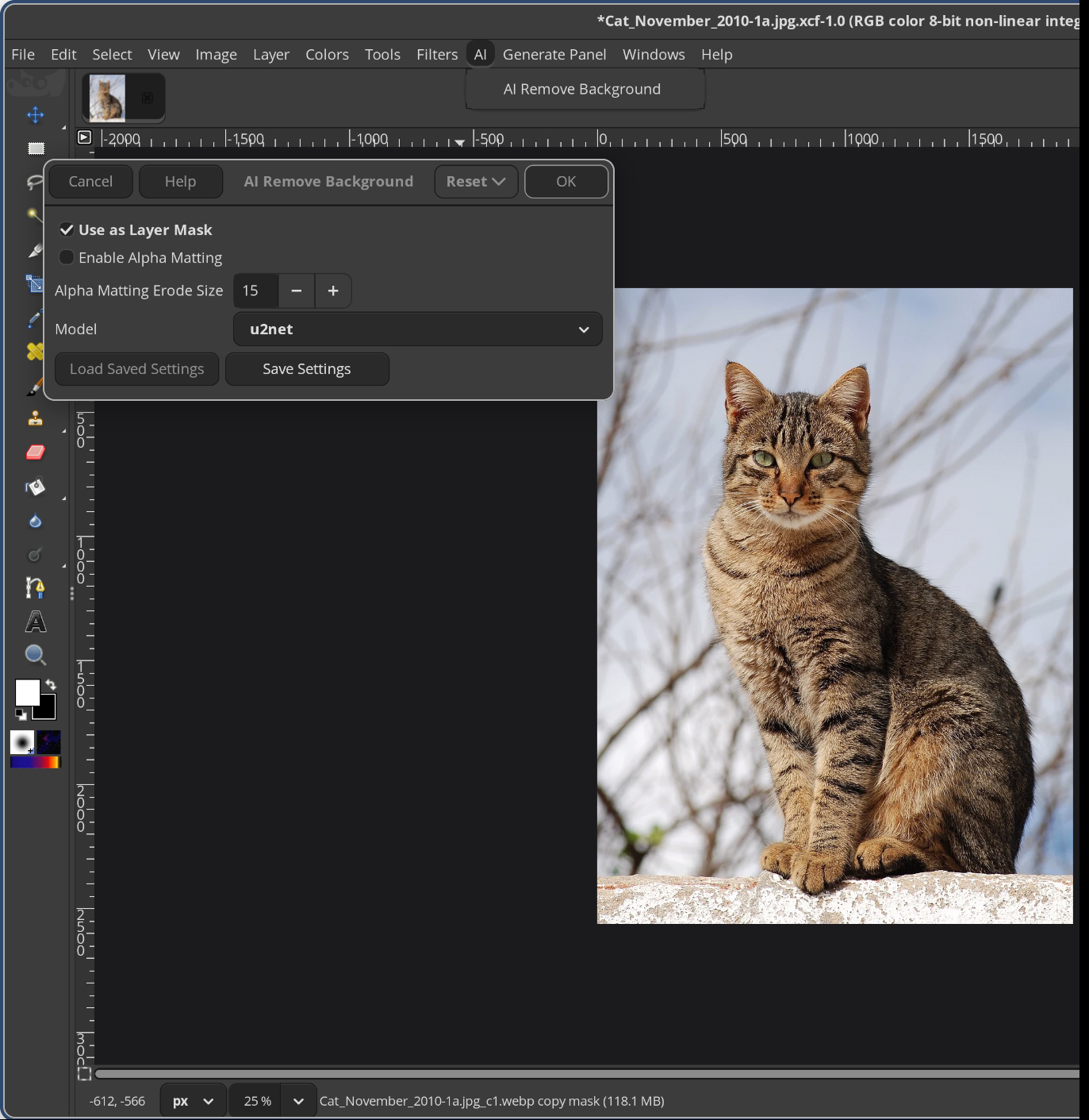 Screenshot of the RemoveBG-ENG GIMP instructions project